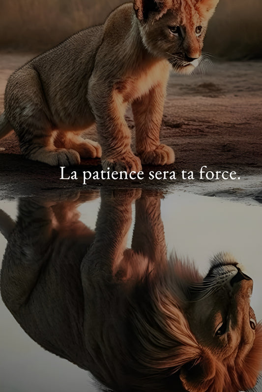 Pack de séances 4X/Semaine - 1 mois